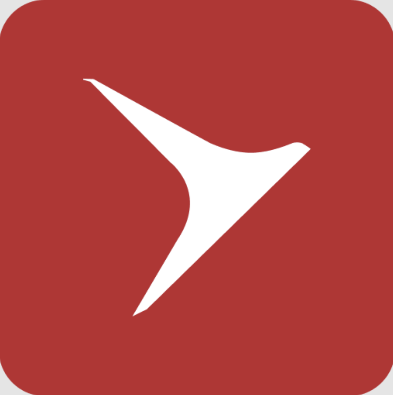palaerospace logo